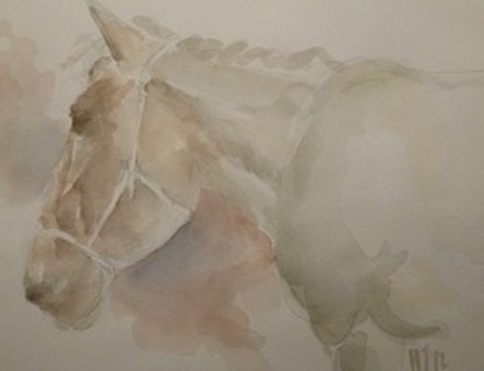 Pferd, Aquarell von Han Janssen